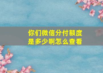 你们微信分付额度是多少啊怎么查看