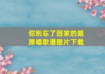 你别忘了回家的路原唱歌谱图片下载