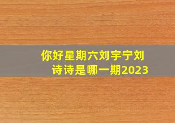 你好星期六刘宇宁刘诗诗是哪一期2023