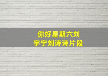 你好星期六刘宇宁刘诗诗片段