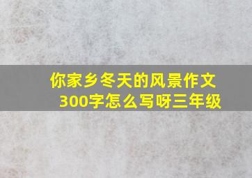 你家乡冬天的风景作文300字怎么写呀三年级