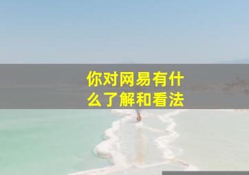 你对网易有什么了解和看法