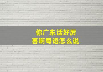 你广东话好厉害啊粤语怎么说