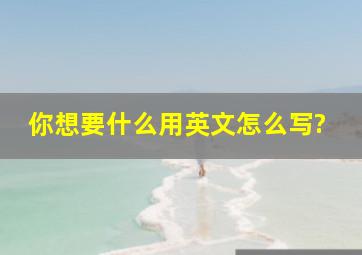 你想要什么用英文怎么写?