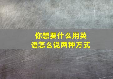 你想要什么用英语怎么说两种方式