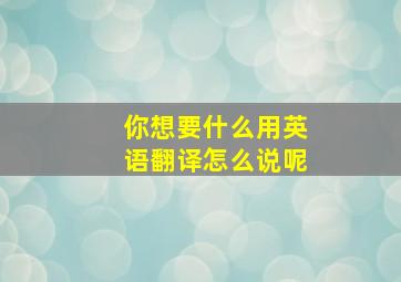 你想要什么用英语翻译怎么说呢