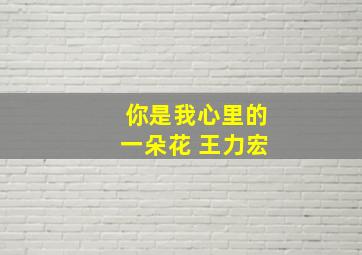 你是我心里的一朵花 王力宏