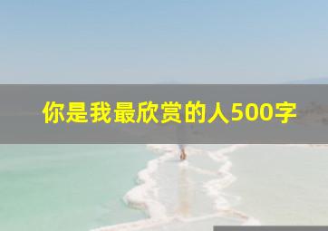 你是我最欣赏的人500字