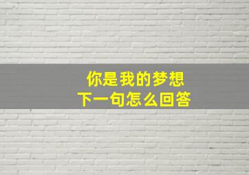 你是我的梦想下一句怎么回答