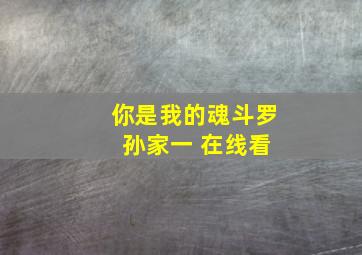 你是我的魂斗罗 孙家一 在线看