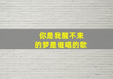 你是我醒不来的梦是谁唱的歌