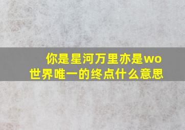 你是星河万里亦是wo世界唯一的终点什么意思