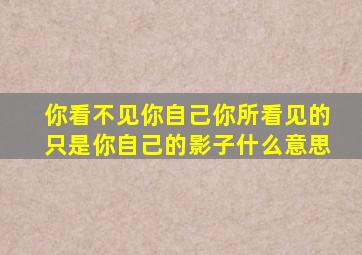 你看不见你自己你所看见的只是你自己的影子什么意思