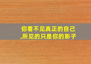 你看不见真正的自己,所见的只是你的影子