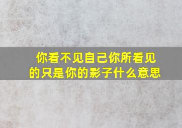 你看不见自己你所看见的只是你的影子什么意思