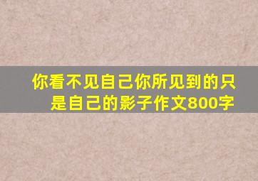 你看不见自己你所见到的只是自己的影子作文800字