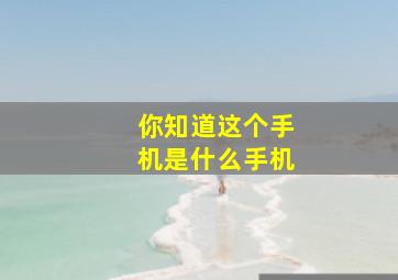 你知道这个手机是什么手机