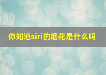 你知道siri的烟花是什么吗