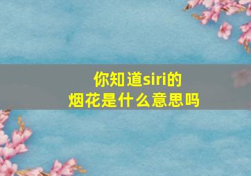 你知道siri的烟花是什么意思吗