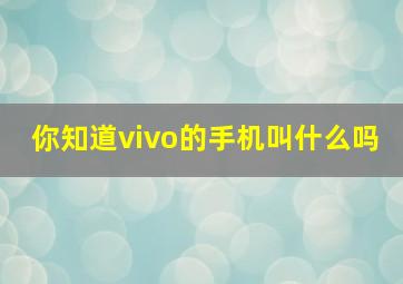 你知道vivo的手机叫什么吗