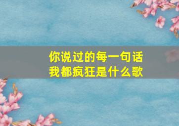 你说过的每一句话我都疯狂是什么歌