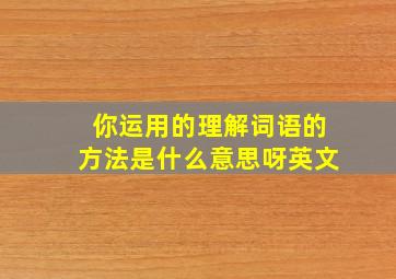 你运用的理解词语的方法是什么意思呀英文