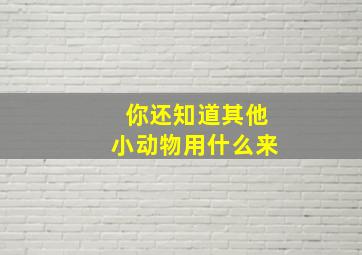 你还知道其他小动物用什么来