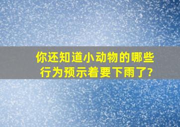 你还知道小动物的哪些行为预示着要下雨了?