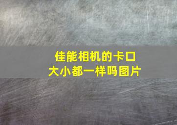 佳能相机的卡口大小都一样吗图片