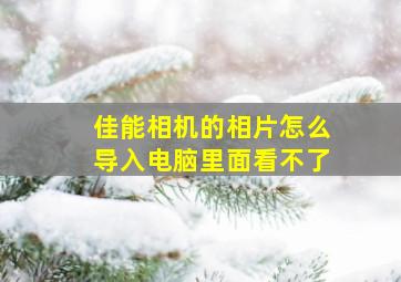 佳能相机的相片怎么导入电脑里面看不了