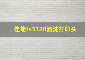 佳能ts3120清洗打印头