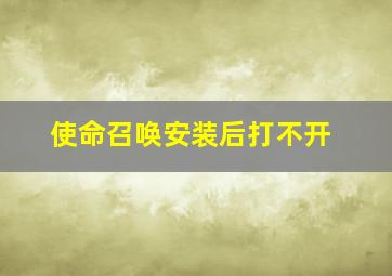 使命召唤安装后打不开