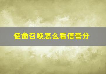 使命召唤怎么看信誉分