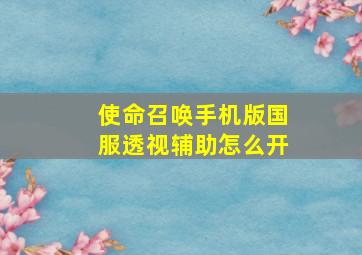 使命召唤手机版国服透视辅助怎么开