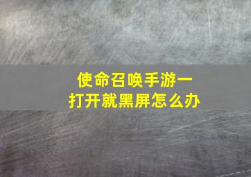 使命召唤手游一打开就黑屏怎么办