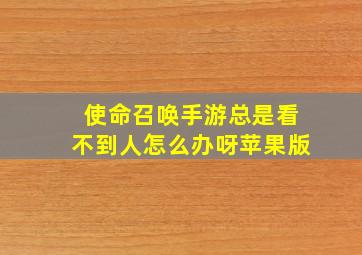 使命召唤手游总是看不到人怎么办呀苹果版