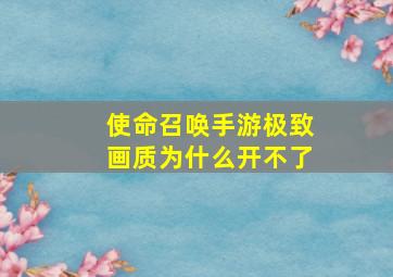 使命召唤手游极致画质为什么开不了