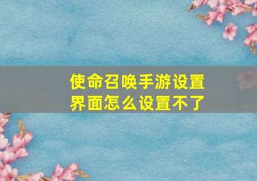 使命召唤手游设置界面怎么设置不了