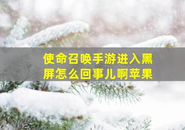 使命召唤手游进入黑屏怎么回事儿啊苹果