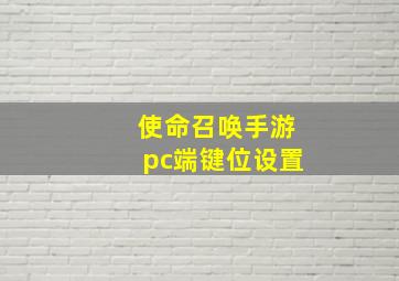 使命召唤手游pc端键位设置