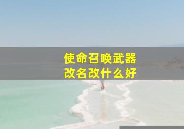 使命召唤武器改名改什么好