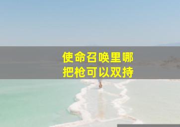 使命召唤里哪把枪可以双持