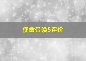 使命召唤5评价