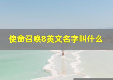 使命召唤8英文名字叫什么