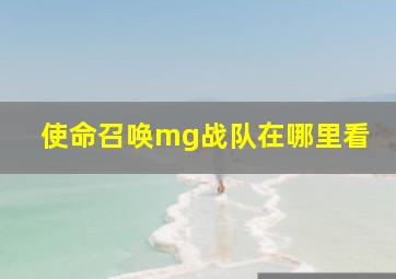 使命召唤mg战队在哪里看