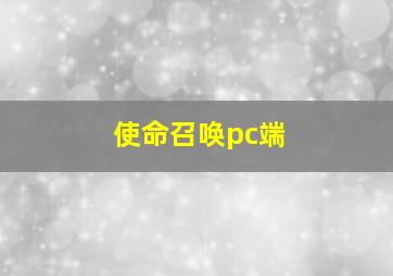 使命召唤pc端