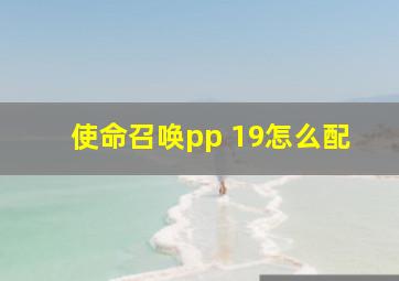 使命召唤pp 19怎么配