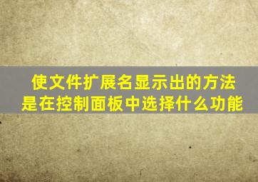 使文件扩展名显示出的方法是在控制面板中选择什么功能