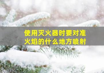 使用灭火器时要对准火焰的什么地方喷射