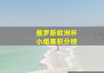 俄罗斯欧洲杯小组赛积分榜